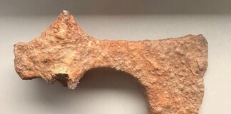 Żelazny topór z X w. odkryty w okolicach Namysłowa (GALERIA) prezentowane znalezisko