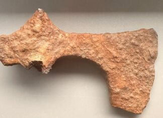 Żelazny topór z X w. odkryty w okolicach Świerczowa (GALERIA) prezentowane znalezisko