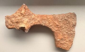 Żelazny topór z X w. odkryty w okolicach Świerczowa (GALERIA) prezentowane znalezisko