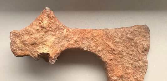 Żelazny topór z X w. odkryty w okolicach Świerczowa (GALERIA) prezentowane znalezisko