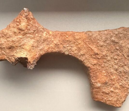 Żelazny topór z X w. odkryty w okolicach Namysłowa (GALERIA) prezentowane znalezisko