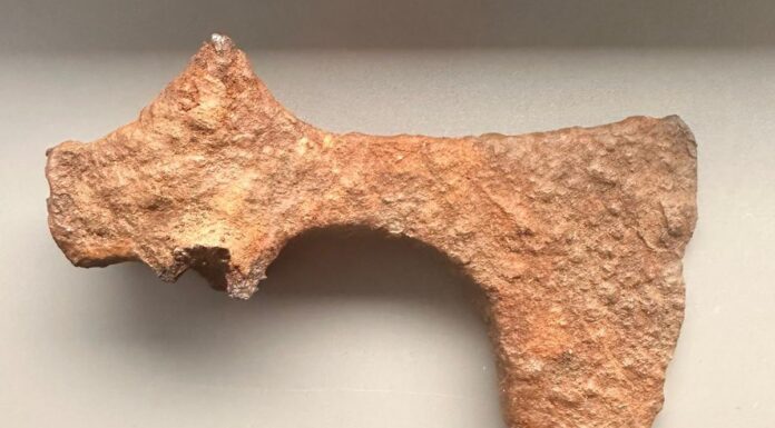 Żelazny topór z X w. odkryty w okolicach Świerczowa (GALERIA) prezentowane znalezisko