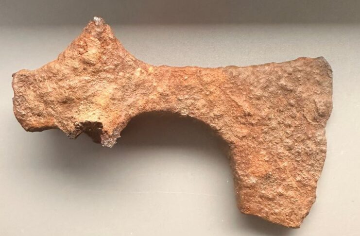 Żelazny topór z X w. odkryty w okolicach Świerczowa (GALERIA) prezentowane znalezisko