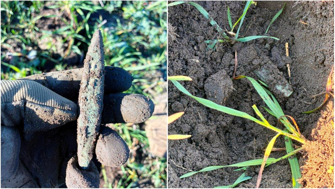 siekierka typu bytyń siekierka typu bytyń