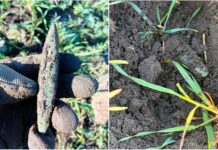 Siekierka z miedzi typu bytyń znaleziona pod Namysłowem (GALERIA) siekierka typu bytyń