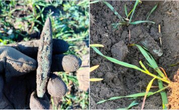 Siekierka z miedzi typu bytyń znaleziona pod Namysłowem (GALERIA) siekierka typu bytyń