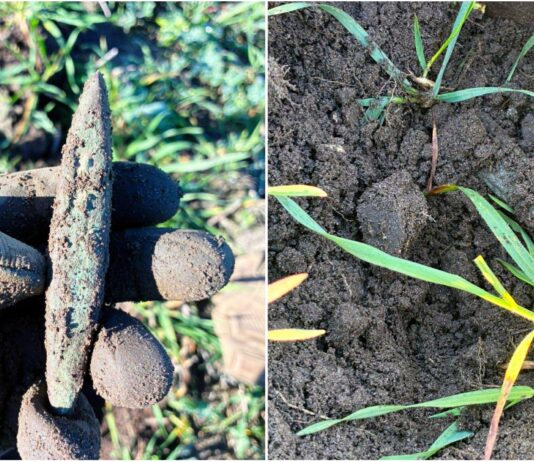 Siekierka z miedzi typu bytyń znaleziona pod Namysłowem (GALERIA) siekierka typu bytyń