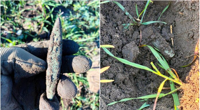 Siekierka z miedzi typu bytyń znaleziona pod Namysłowem (GALERIA) siekierka typu bytyń