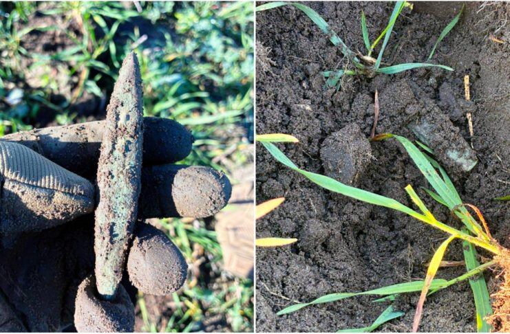 Siekierka z miedzi typu bytyń znaleziona pod Namysłowem (GALERIA) siekierka typu bytyń