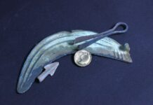 Skarb, złote monety i artefakty z brązu – znaleziska poszukiwaczy trafiły do muzeum Stater celtycki typu Krakowskiego i sierp z brązu