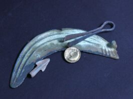 Skarb, złote monety i artefakty z brązu – znaleziska poszukiwaczy trafiły do muzeum Stater celtycki typu Krakowskiego i sierp z brązu