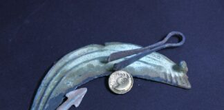 Skarb, złote monety i artefakty z brązu – znaleziska poszukiwaczy trafiły do muzeum Stater celtycki typu Krakowskiego i sierp z brązu