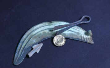 Skarb, złote monety i artefakty z brązu – znaleziska poszukiwaczy trafiły do muzeum Stater celtycki typu Krakowskiego i sierp z brązu