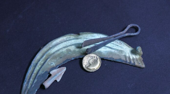 Skarb, złote monety i artefakty z brązu – znaleziska poszukiwaczy trafiły do muzeum Stater celtycki typu Krakowskiego i sierp z brązu