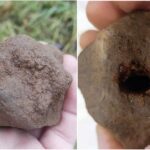 Średniowieczna broń odnaleziona w okolicach Gietrzwałdu! (GALERIA) Odnaleziona głowica buławy