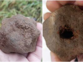 Średniowieczna broń odnaleziona w okolicach Gietrzwałdu! (GALERIA) Odnaleziona głowica buławy