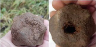 Średniowieczna broń odnaleziona w okolicach Gietrzwałdu! (GALERIA) Odnaleziona głowica buławy