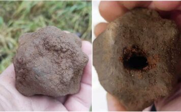 Średniowieczna broń odnaleziona w okolicach Gietrzwałdu! (GALERIA) Odnaleziona głowica buławy