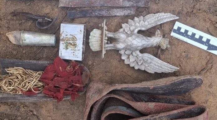 Orzeł z głowicy sztandaru 12 pal odkryty w lesie! (GALERIA)