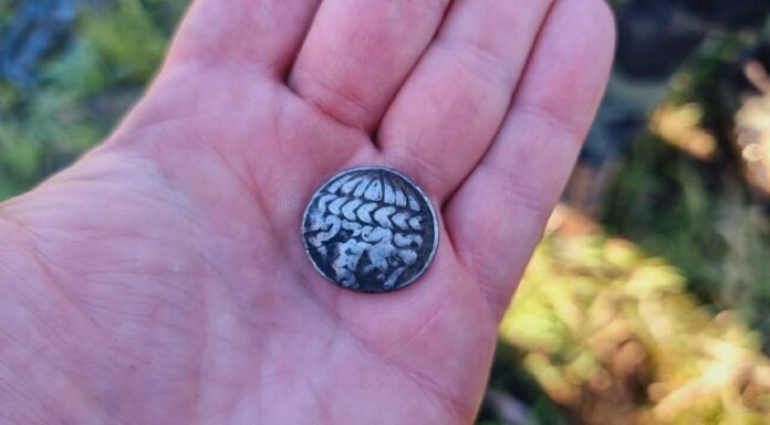 Odkryli niezwykłą celtycką srebrną monetę sprzed 2200 lat! (GALERIA) Celtycka srebrna moneta fot. ŚGE