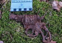 Destrukt kieszonkowej broni palnej- Rewolwer British Bull Dog odnaleziony w lesie (GALERIA) bron odnaleziona podczas poszukiwań1