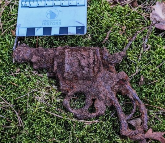 Destrukt kieszonkowej broni palnej- Rewolwer British Bull Dog odnaleziony w lesie (GALERIA) bron odnaleziona podczas poszukiwań1