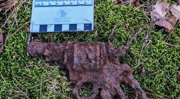 Destrukt kieszonkowej broni palnej- Rewolwer British Bull Dog odnaleziony w lesie (GALERIA) bron odnaleziona podczas poszukiwań1