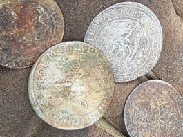 Kolejny depozyt srebrnych monet w Puszczy Bydgoskiej! (GALERIA) depozyt monet Grupa Weles