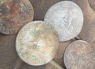 Kolejny depozyt srebrnych monet w Puszczy Bydgoskiej! (GALERIA) depozyt monet Grupa Weles