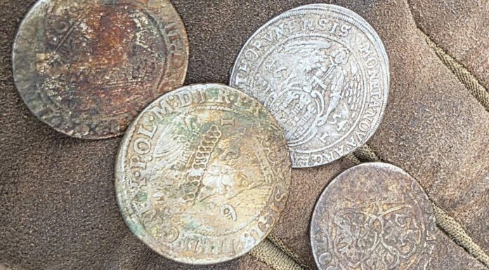 Kolejny depozyt srebrnych monet w Puszczy Bydgoskiej! (GALERIA) depozyt monet Grupa Weles