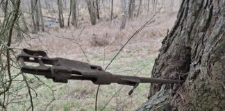Znalazła na spacerze karabin z okresu IIWŚ wrośnięty w drzewo! Mauser wrośnięty w drzewo fot. Słubice24