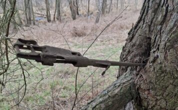Znalazła na spacerze karabin z okresu IIWŚ wrośnięty w drzewo! Mauser wrośnięty w drzewo fot. Słubice24