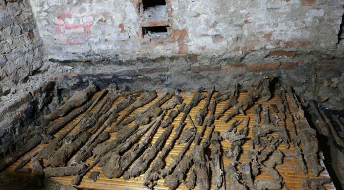 Militarne odkrycie w piwnicach remontowanego budynku (GALERIA) odnalezione składowisko