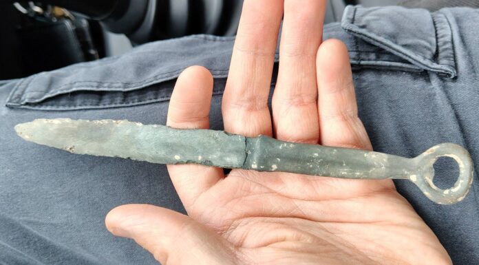 Sztylet z brązu odnaleziony podczas poszukiwań na terenach leśnych sztylet