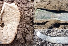 Od epoki brązu po średniowiecze – niezwykłe znaleziska w Sadłużku (GALERIA) Zbiór znalezisk