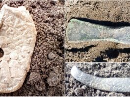 Od epoki brązu po średniowiecze – niezwykłe znaleziska w Sadłużku (GALERIA) Zbiór znalezisk