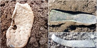 Od epoki brązu po średniowiecze – niezwykłe znaleziska w Sadłużku (GALERIA) Zbiór znalezisk