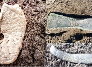 Od epoki brązu po średniowiecze – niezwykłe znaleziska w Sadłużku (GALERIA) Zbiór znalezisk