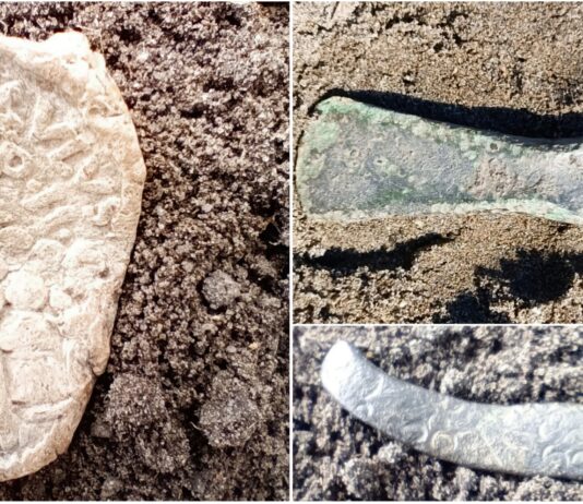 Od epoki brązu po średniowiecze – niezwykłe znaleziska w Sadłużku (GALERIA) Zbiór znalezisk