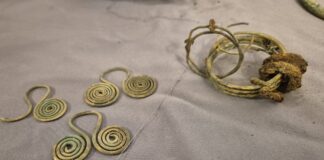 Skarb sprzed kilku tysięcy lat odkryty nad Pilicą (GALERIA) elementy znalezionego skarbu