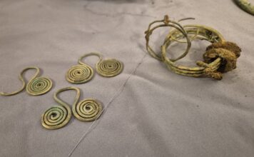 Skarb sprzed kilku tysięcy lat odkryty nad Pilicą (GALERIA) elementy znalezionego skarbu