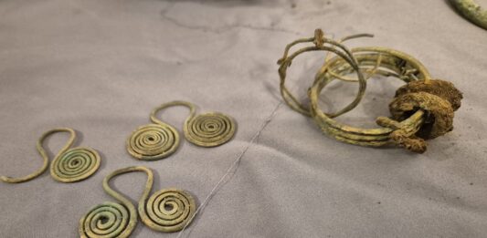 Skarb sprzed kilku tysięcy lat odkryty nad Pilicą (GALERIA) elementy znalezionego skarbu