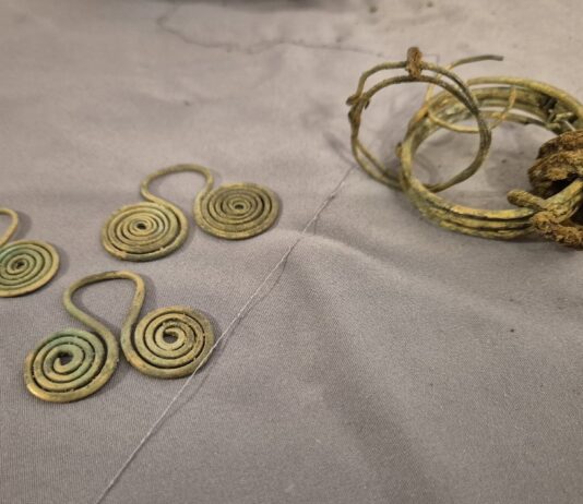 Skarb sprzed kilku tysięcy lat odkryty nad Pilicą (GALERIA) elementy znalezionego skarbu