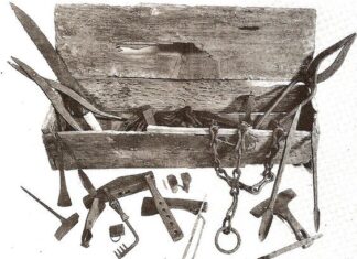 Skarb wikingów ze skrzyni Mästermira Skrzynia z Mästermyr