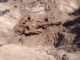 Działo szturmowe StuG III G odkryte przy lotnisku w Nordholz (GALERIA) Sturmgeschütz III (StuG III) – działo pancerne