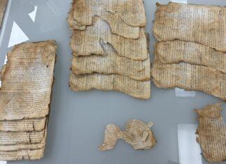Archiwiści ratują dokumenty odnalezione po latach w Pałacu Bruhla (GALERIA) dokumenty po wstępnych pracach