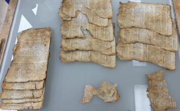 Archiwiści ratują dokumenty odnalezione po latach w Pałacu Bruhla (GALERIA) dokumenty po wstępnych pracach