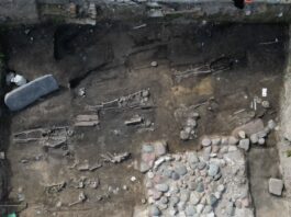Najstarszy kościół w Gdańsku z 1140 r. i płyta nagrobna z krzyżem łacińskim Wykop w Gdańsku przy ul. Grodzkiej/Sukienniczej fot. ArcheoScan Pracownia Archeologiczno-Konserwatorska
