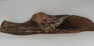 Toporek z poroża prehistorycznego jelenia znaleziony w Wiśle (GALERIA) Toporek z Wisły1