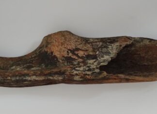 Toporek z poroża prehistorycznego jelenia znaleziony w Wiśle (GALERIA) Toporek z Wisły1